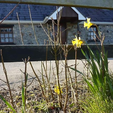 The Hill Cottage Galway Exterior photo