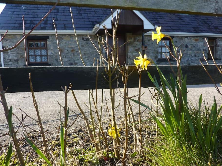 The Hill Cottage Galway Exterior photo